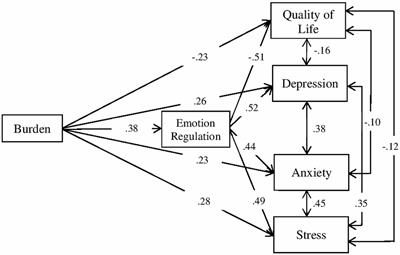 Difficulties in emotional regulation mediates the impact of burden on quality of life and mental health in a sample of family members of people diagnosed with Borderline Personality Disorder